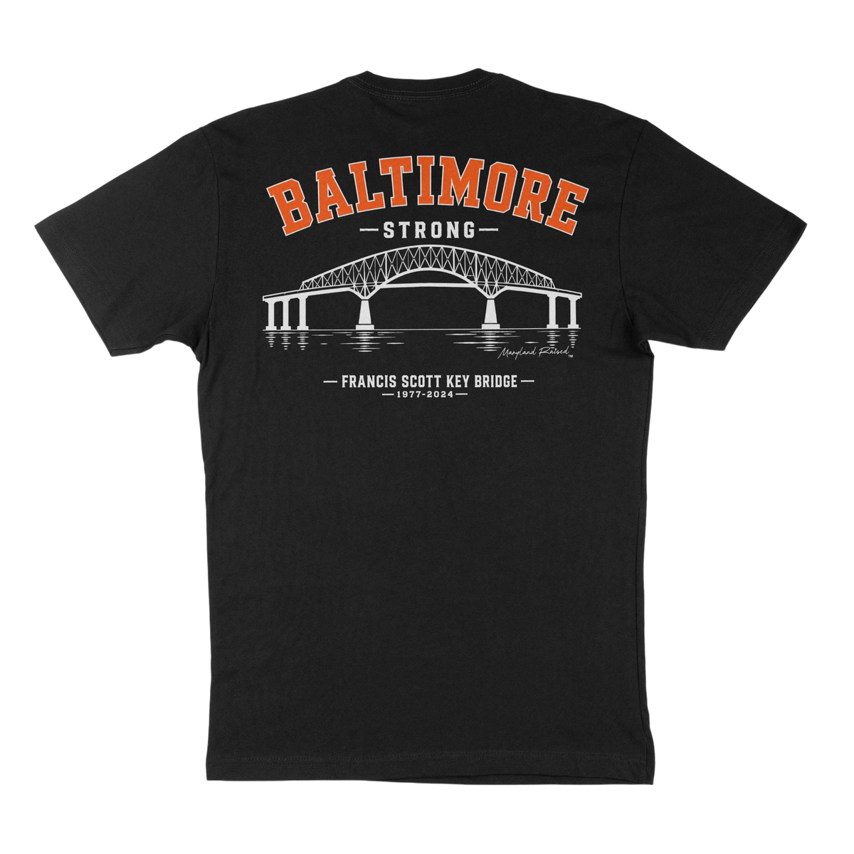 Baltimore Key Bridge